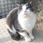 Poussière
