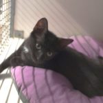 Agathe 2 Resized_20250715_174553