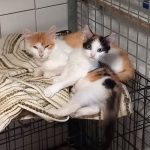 Adèle et sa maman Ayma