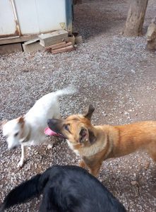 Fifie et Kira