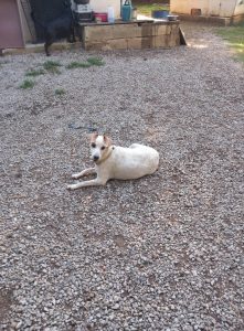 Kira 553525211_1223657389797643_4662365380913910805_n