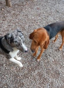 Mystère et Léonard