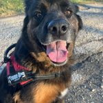 Gerda IMG-20260118-WA0042