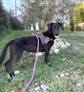 Sora 2 14 IMG-20260120-WA0014