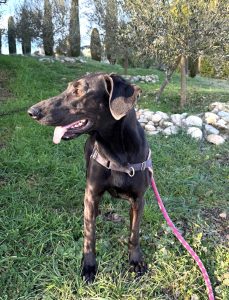 Sora 2 IMG-20260120-WA0007