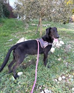 Sora 2 IMG-20260120-WA0010