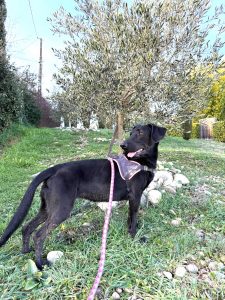 Sora 2 IMG-20260120-WA0011