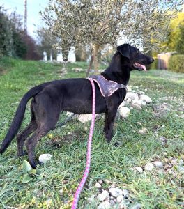 Sora 2 IMG-20260120-WA0013