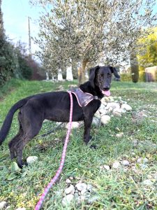 Sora 2 IMG-20260120-WA0014