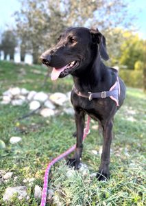 Sora 2 IMG-20260120-WA0015