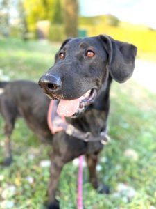 Sora 2 IMG-20260120-WA0019