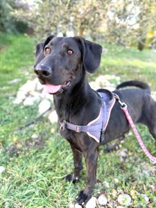 Sora 2 IMG-20260120-WA0020