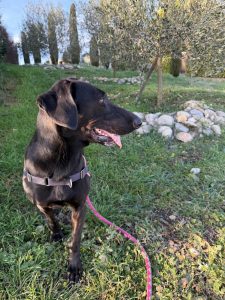 Sora IMG-20260120-WA0006