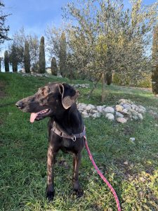 Sora IMG-20260120-WA0007