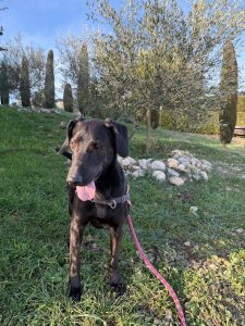 Sora IMG-20260120-WA0008