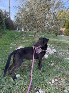 Sora IMG-20260120-WA0009