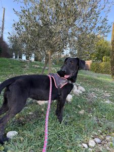 Sora IMG-20260120-WA0012