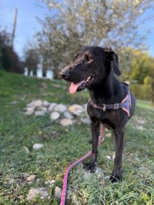 Sora IMG-20260120-WA0015