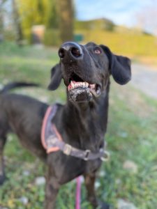 Sora IMG-20260120-WA0017