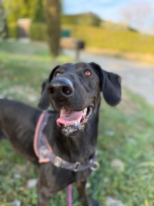 Sora IMG-20260120-WA0018