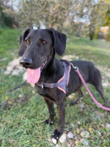 Sora IMG-20260120-WA0021