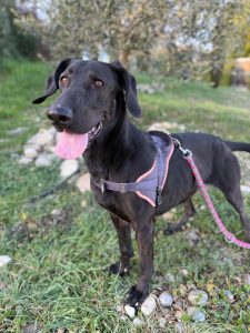 Sora IMG-20260120-WA0022