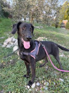 Sora IMG-20260120-WA0024