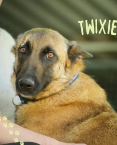 Twixie