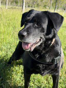 Moka IMG_9311