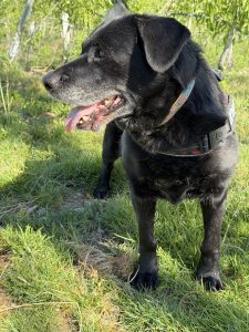 Moka IMG_9363