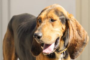 Bonnie _DSC2647-2
