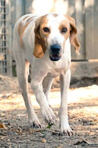 Lucky 2 _DSC2518