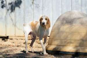 Lucky _DSC2509