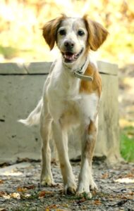 Balia 2 _DSC2808-2